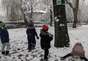 Dzieci z grupy VI w ogrodzie przedszkolnym celują śnieżkami do drzewa.
